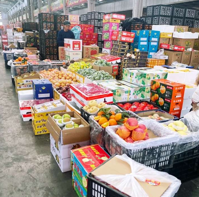 广州水果批发市场实景图