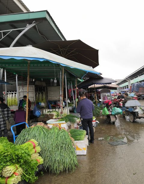 成都蔬菜批发市场实景图